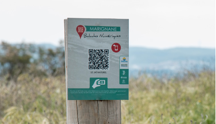 marignane-data-1